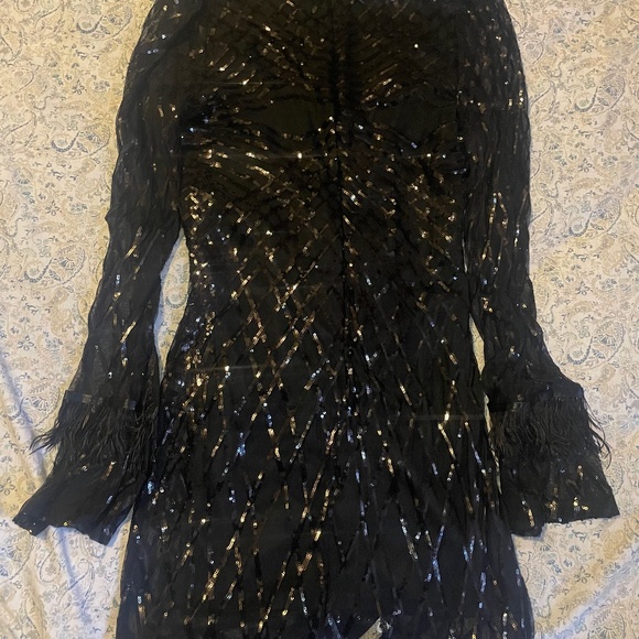 Plus Size Black Sequin Party Dress w/ Feathers - Picture 5 of 7